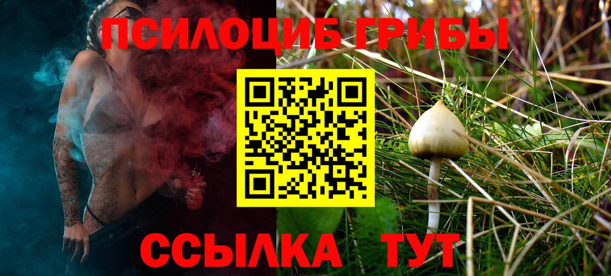 Дивногорск  Псилоцибиновые грибы Magic Shrooms  Галлюциногенные грибы Cubensis  Вход с VPN 