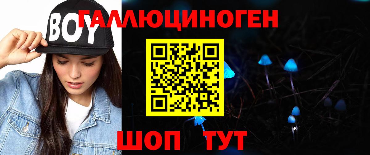 Псилоцибиновые грибы Psilocybe Дивногорск
